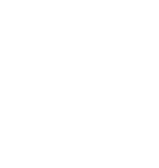 LOGO MAISON BARNI