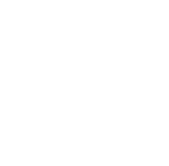 CERTIFICAT D'AUTHENTICITE